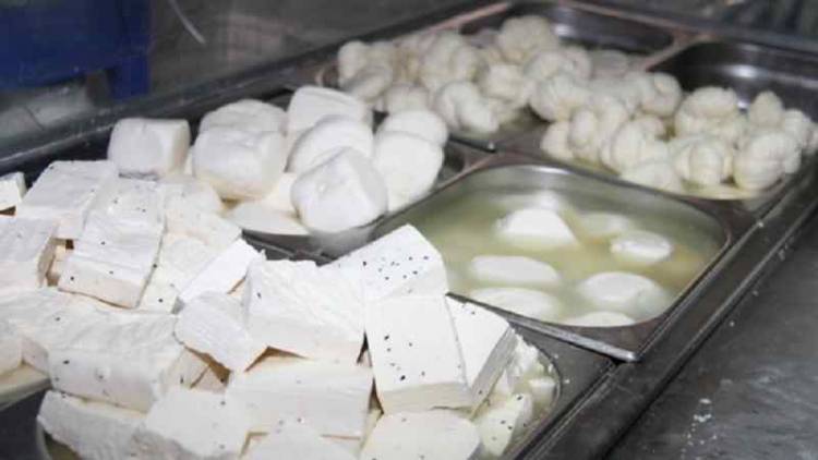 جمعية الأجبان توضح أسباب عدم انخفاض سعر الحليب ومشتقاته رغم تحسن سعر الصرف 